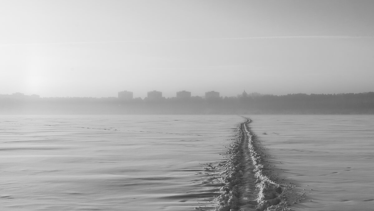 Туман как метафора жизни: всё неясно, но прекрасно. - Вадим Басов