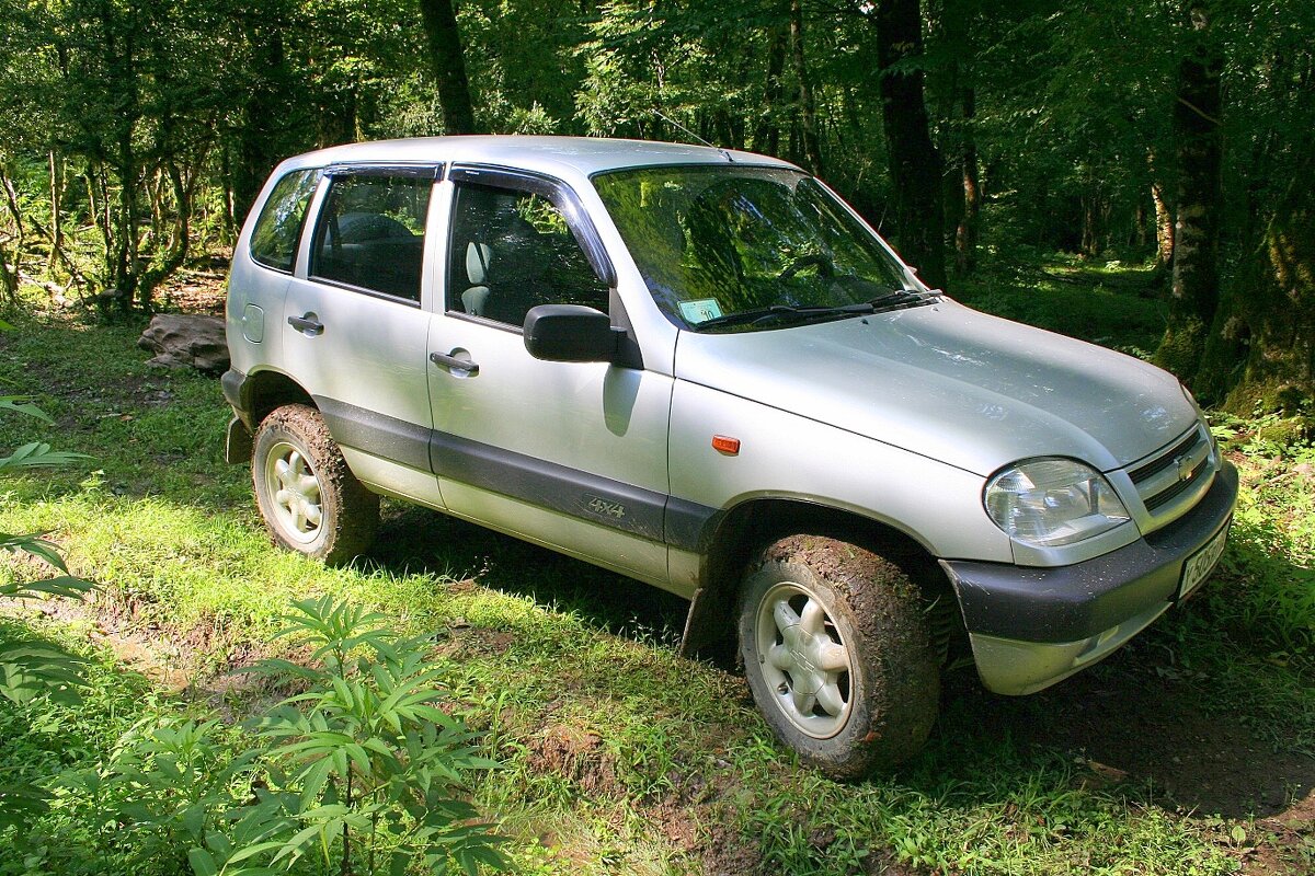 Горная поездка - Tata Wolf