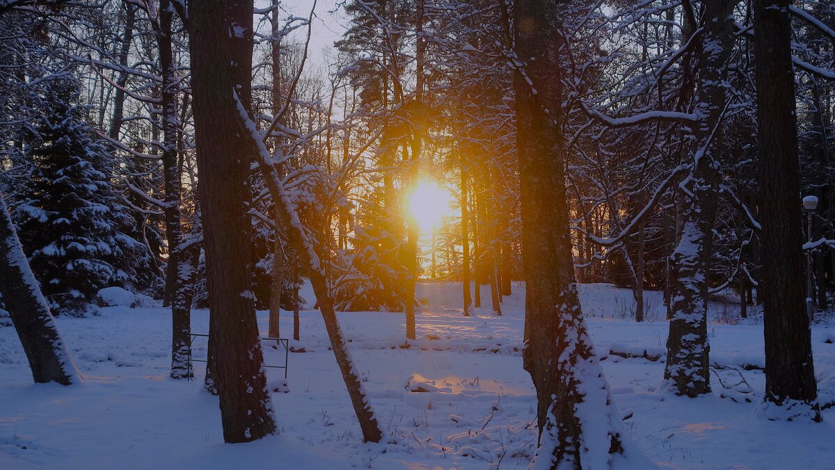 Приглашение в зимнею сказку... - Sergey Gordoff Приглашение в зимнею сказку... - Sergey Gordoff