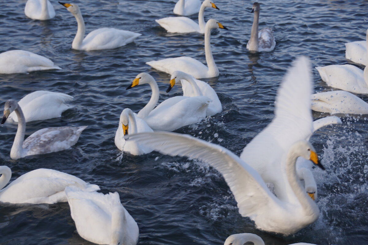 "Сейчас улечу!" - Наталия Григорьева