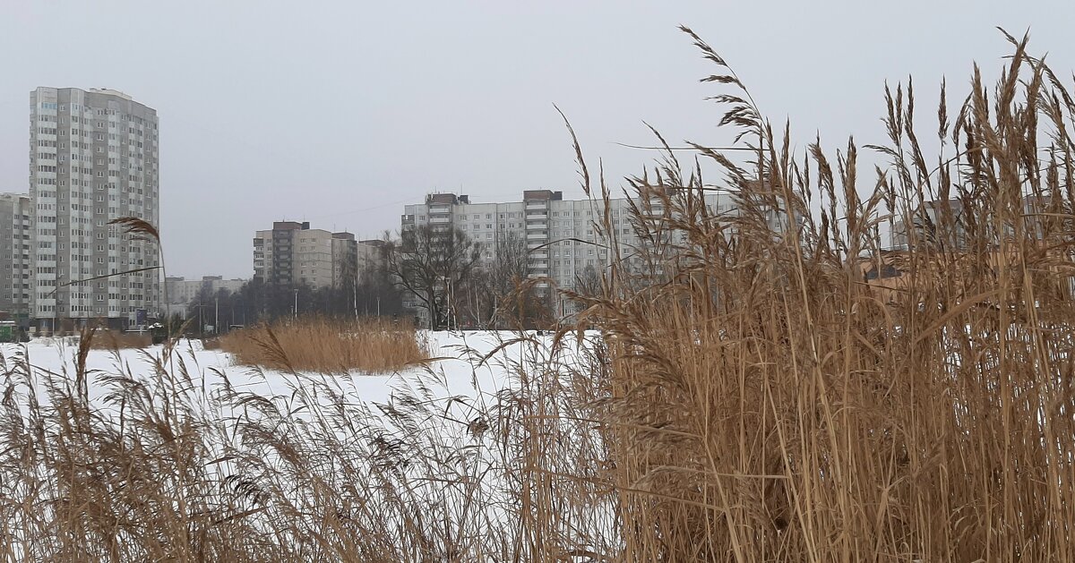 Зимний пейзаж - Наталья Герасимова