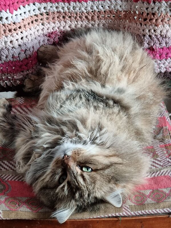 Отдых в теплом местечке :) - Наталья 