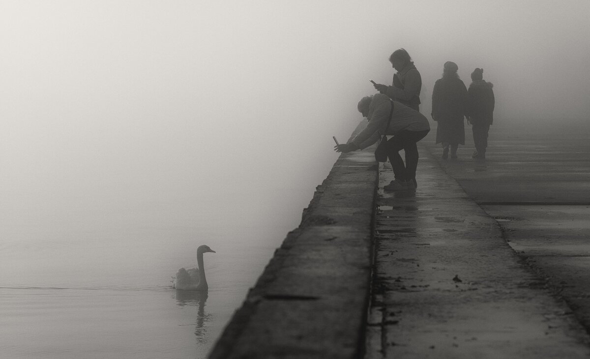 Туманная фотосессия. - Анатолий Щербак