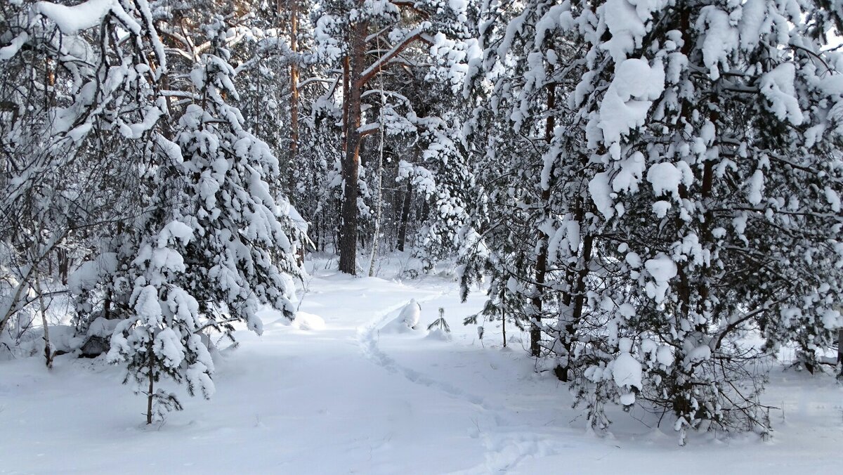 Снежный январь. - Милешкин Владимир Алексеевич 