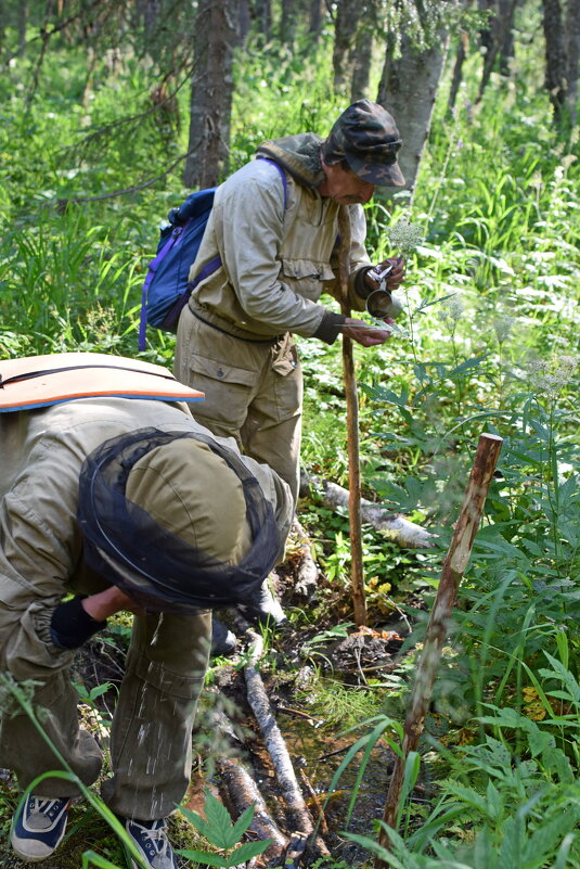 Наконец то вода! - ВикТор Быстров
