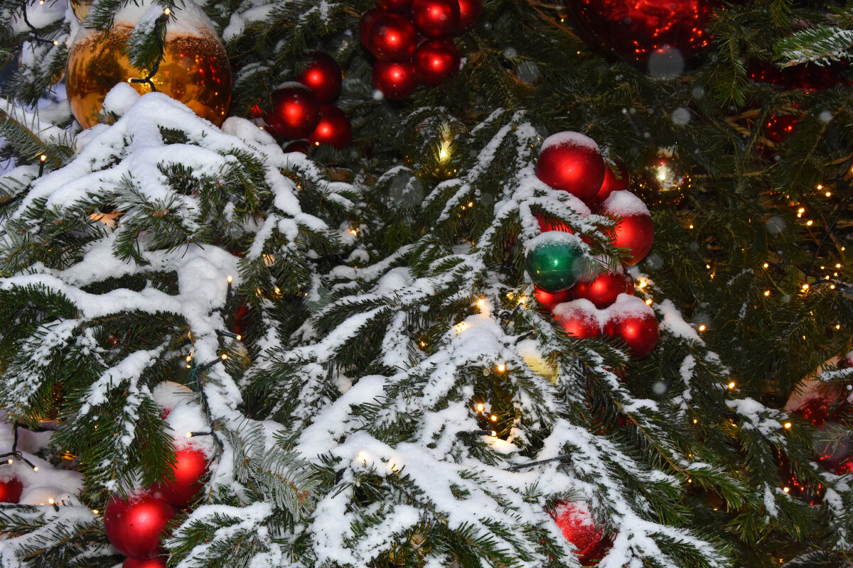 Новогодняя Москва. Путешествие в Рождество 2026. - Наташа *****