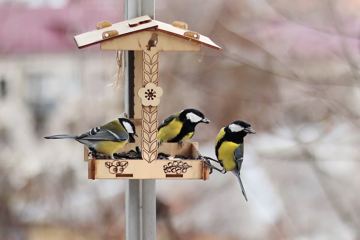 Их было трое... - Татьяна Бравая