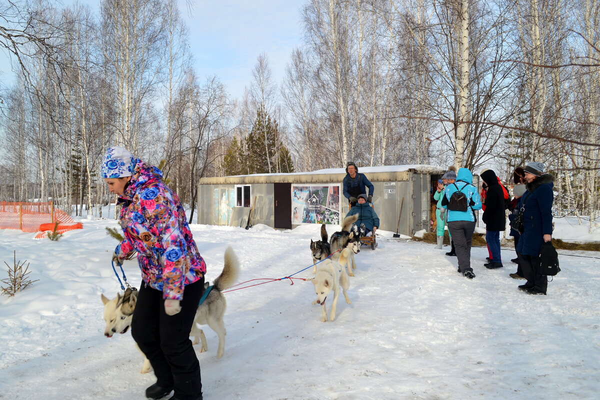 Погнали! - Татьяна Лютаева