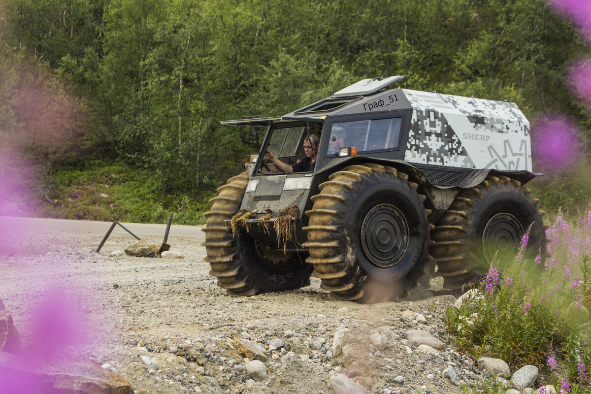 Шэрп - Андрей C