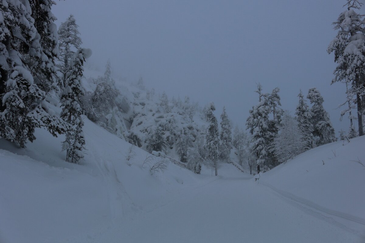 Сумеречные дни - Ольга 
