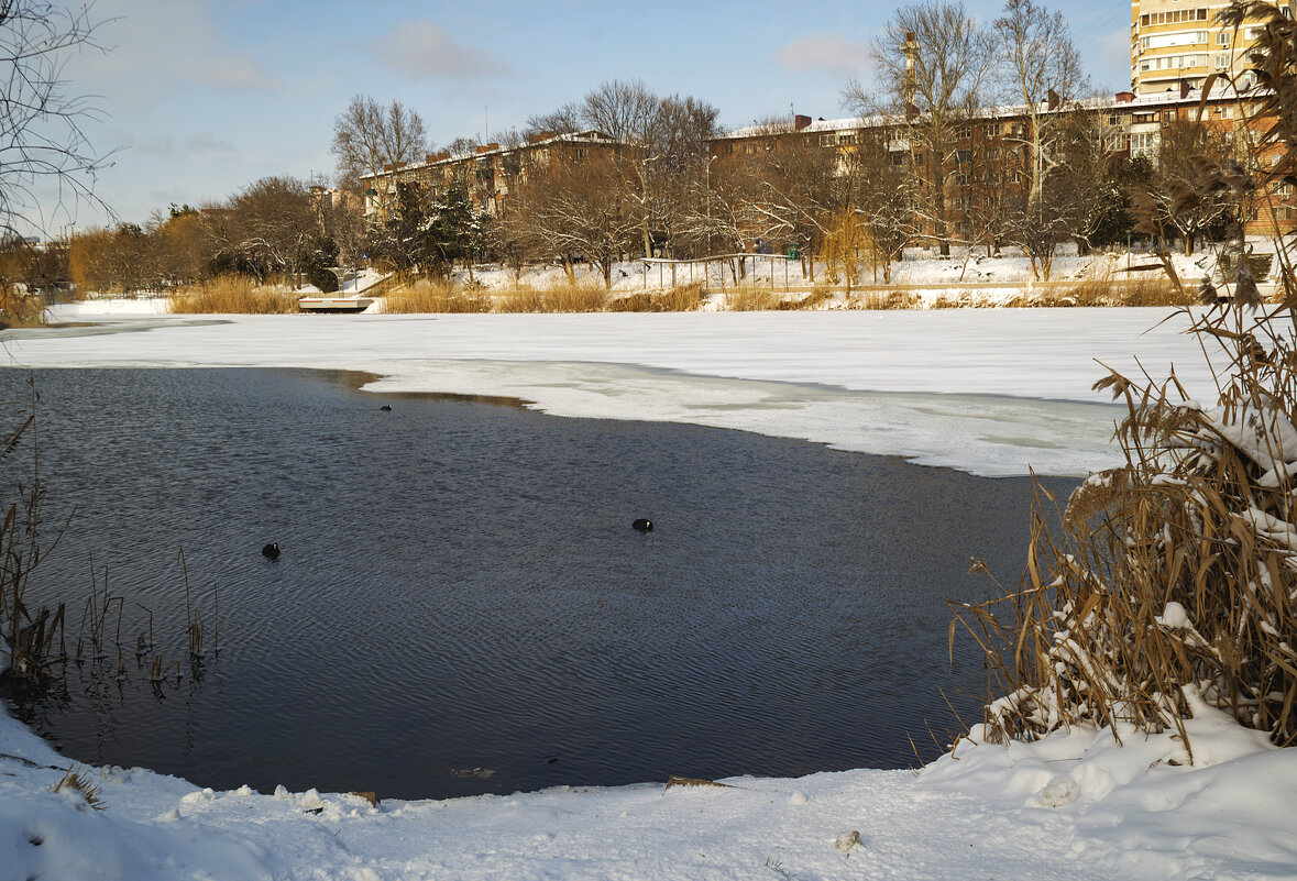 *** - Игорь Протасов