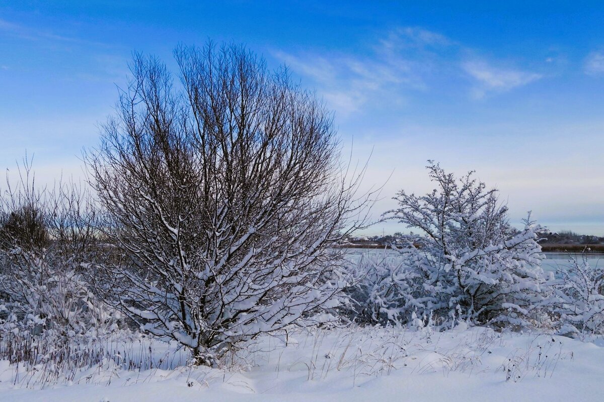 Зима - Рита Симонова