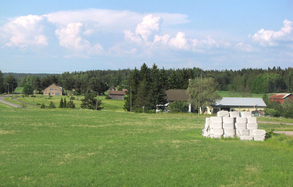 Местечко Хауккала (Haukkala) - Александр Ильчевский 