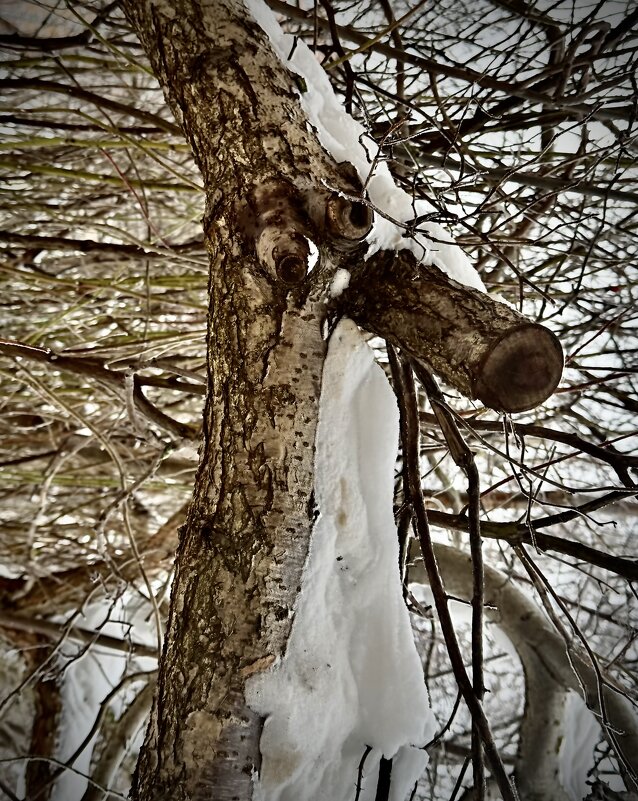 Мой  вам привет!) - Любовь 