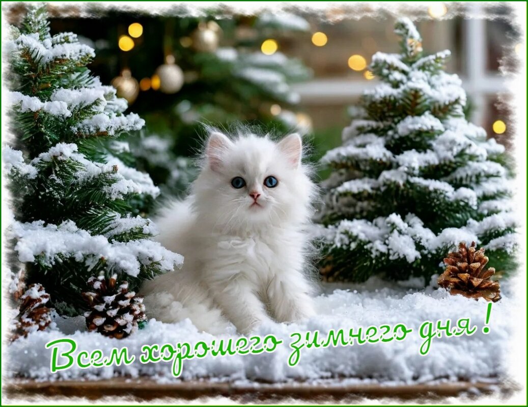 Доброго зимнего дня ! - Валентина Надсон