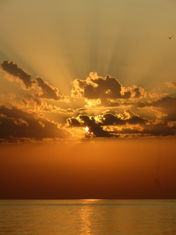 At the sunset - Валерий 