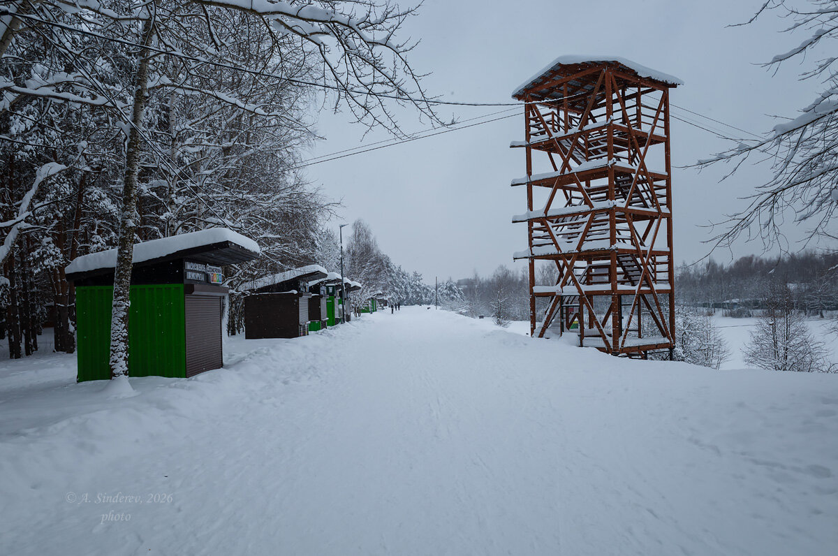 В городском парке зимой - Александр Синдерёв