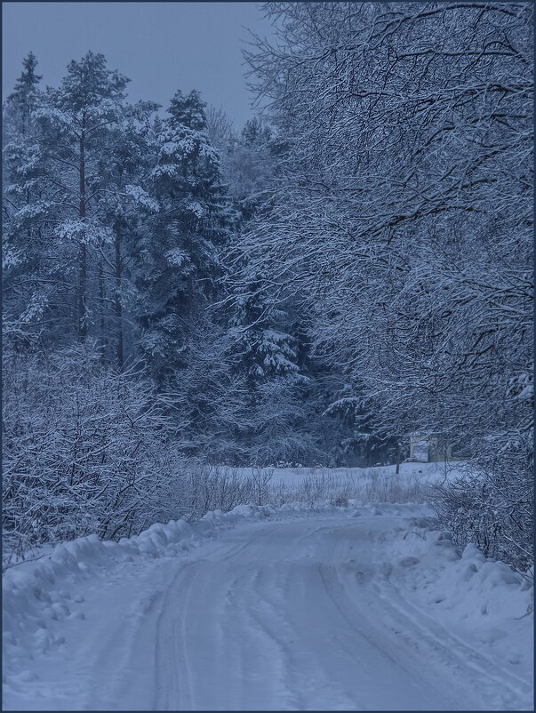 На опушке леса... - Наталья Rosenwasser