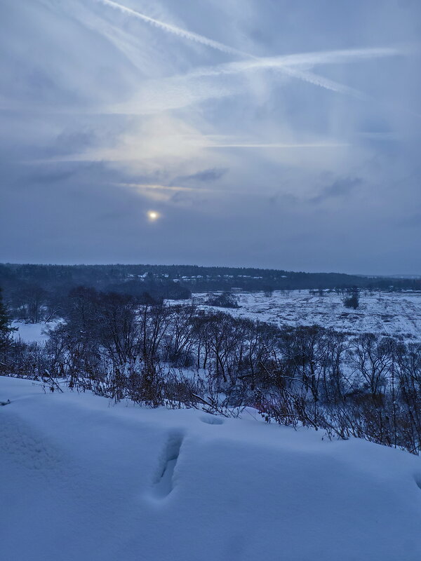 Зимнее утро - Наталья Rosenwasser