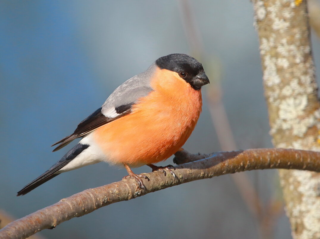 вечером - Andrey Bragin 