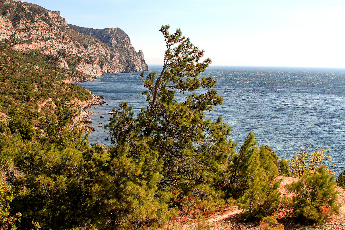 Побережье Балаклавы. - Сергей Воротников