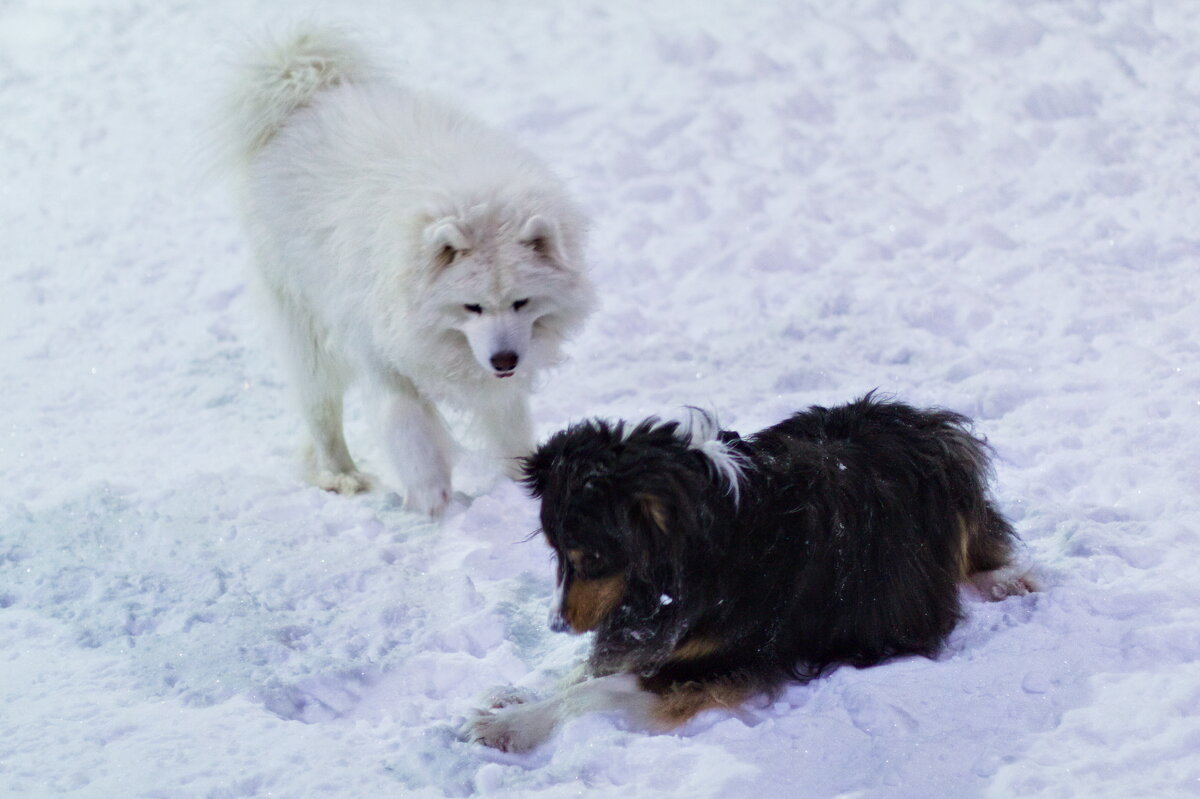 че нашел? - Артём 
