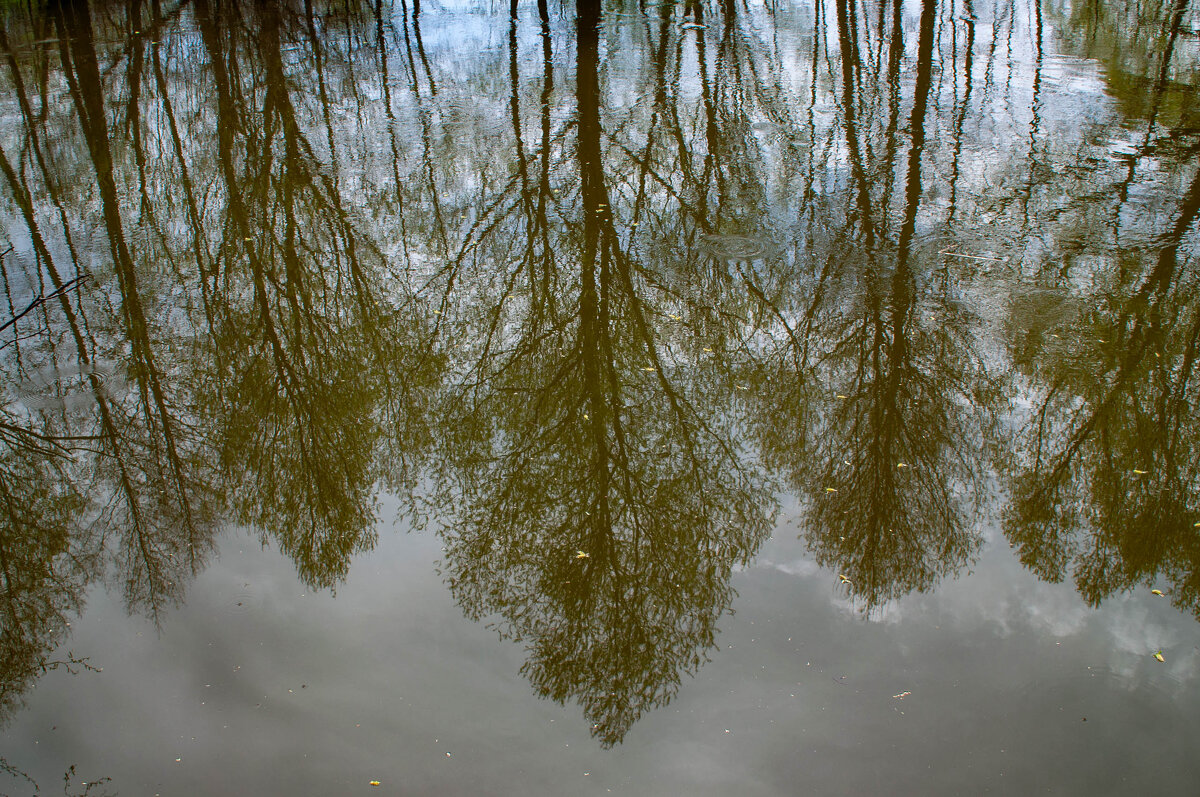 Отражение - Владимир Иванович