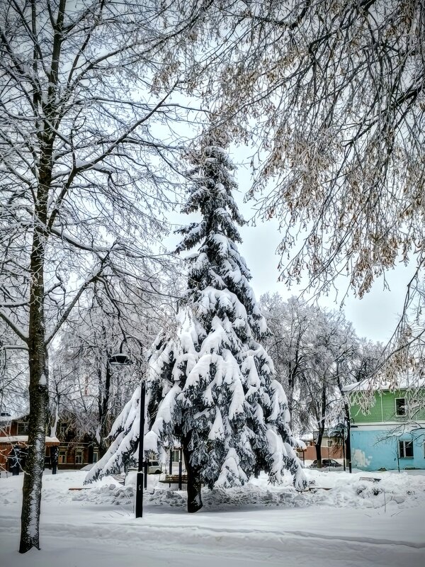 Январь - Михаил Столяров