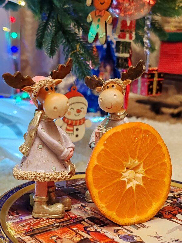 Мы делили апельсин) - nika555nika Ирина