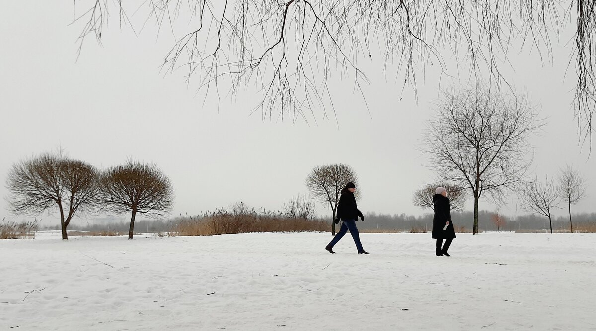 *** - Наталья Герасимова