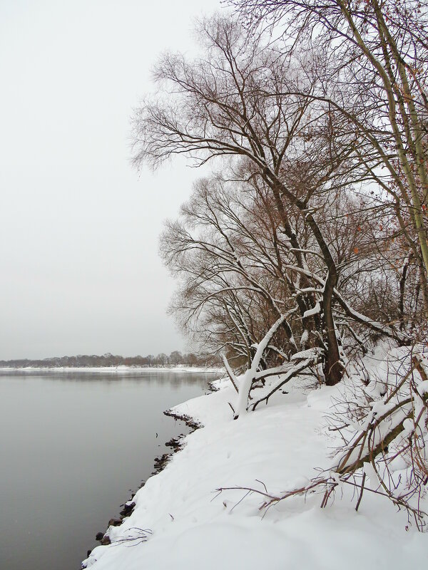 Берег под снегом - Андрей Снегерёв Берег под снегом - Андрей Снегерёв