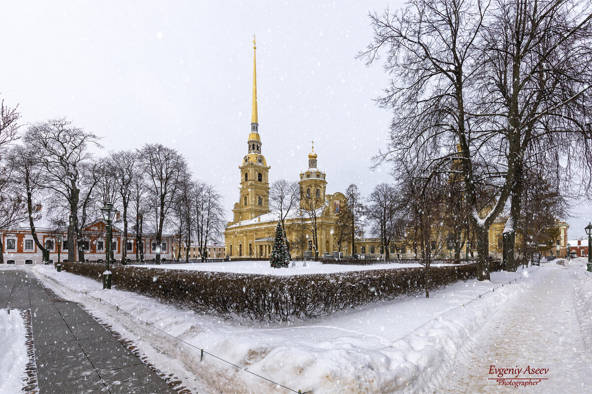 Зима в Петропавловке - Евгений Зима в Петропавловке - Евгений
