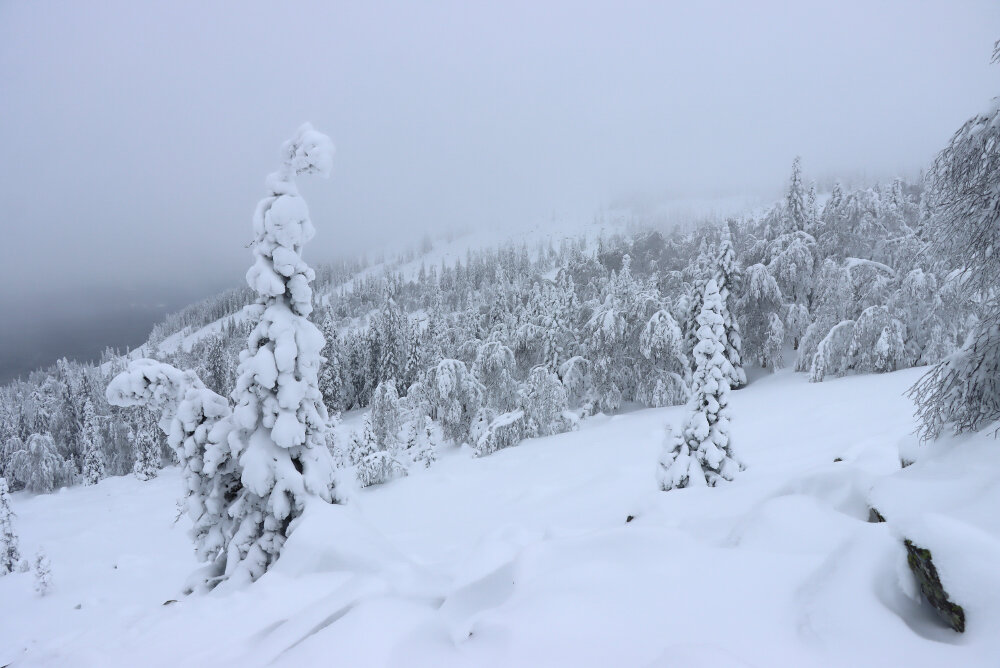 Зима в уральских горах - Галина Ильясова Зима в уральских горах - Галина Ильясова