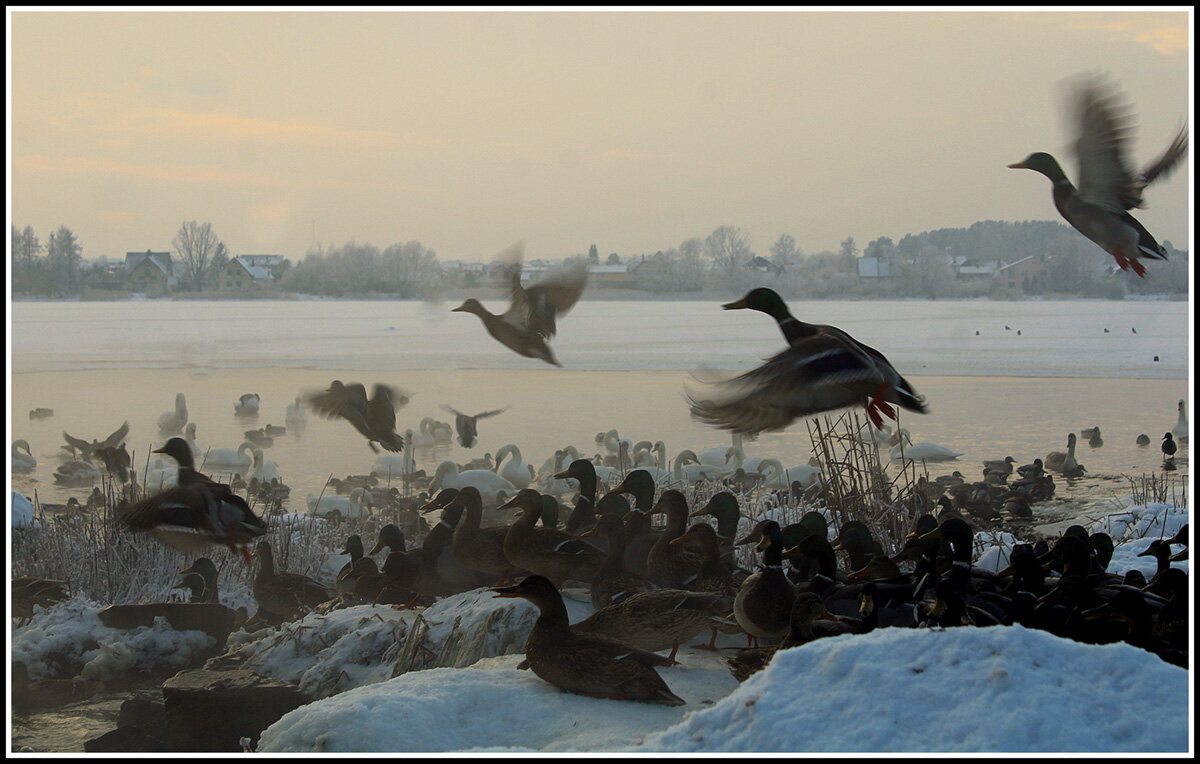 Настало времечко - Aleksandr Gal