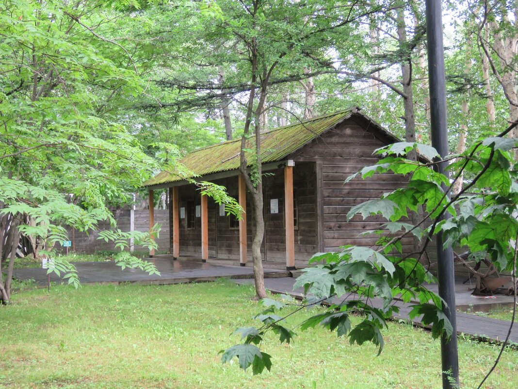 Сахалин как место каторги. - ИРЭН@ . Сахалин как место каторги. - ИРЭН@ .