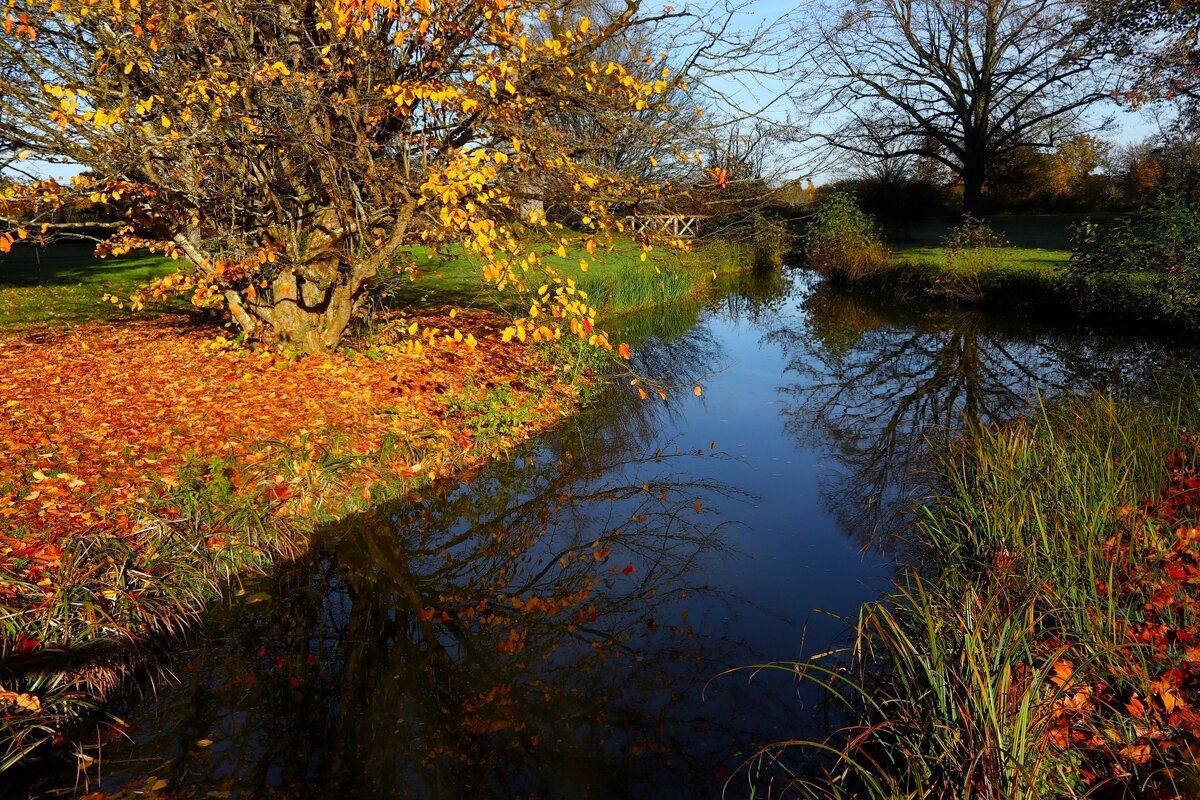 Тихий ручей - Юрий. Шмаков Тихий ручей - Юрий. Шмаков