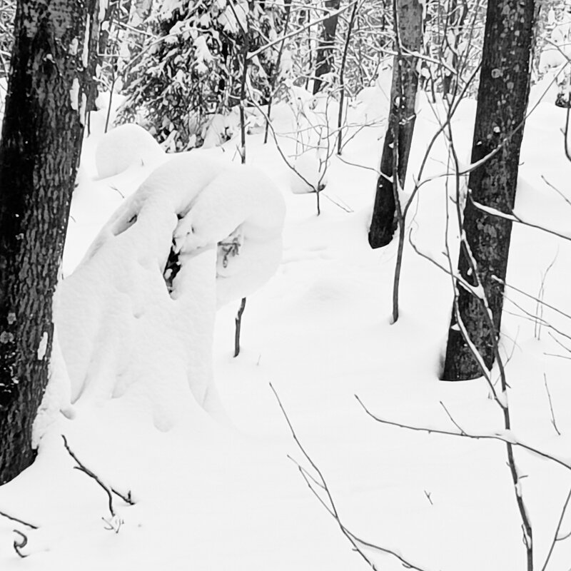 сжался  замерз - Владимир 