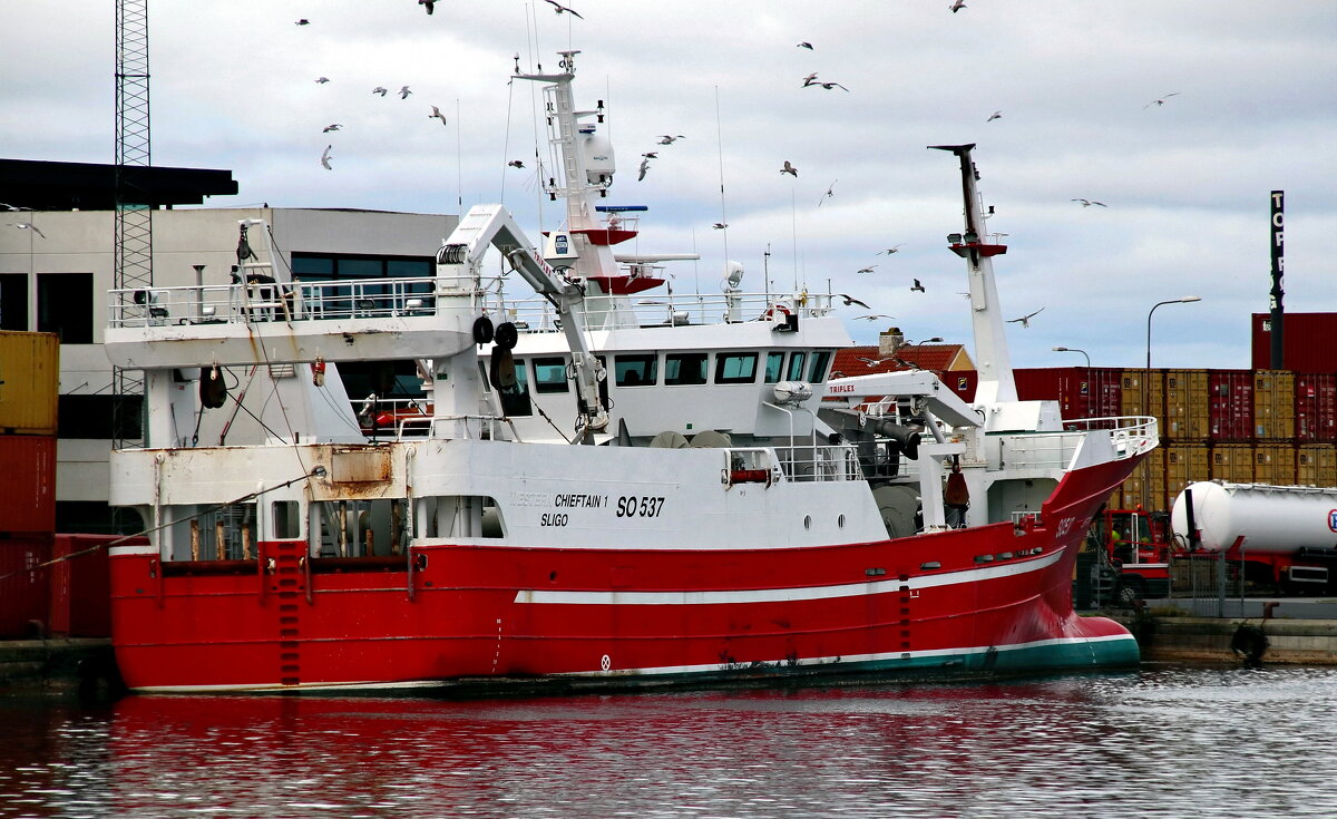 Сдача улова - В.И 