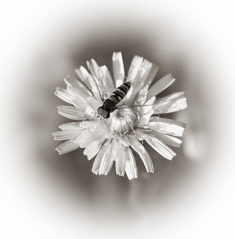 *** - Александр. AVG100 ---