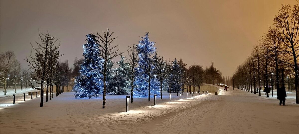 Зимний парк - Екатерина Леш