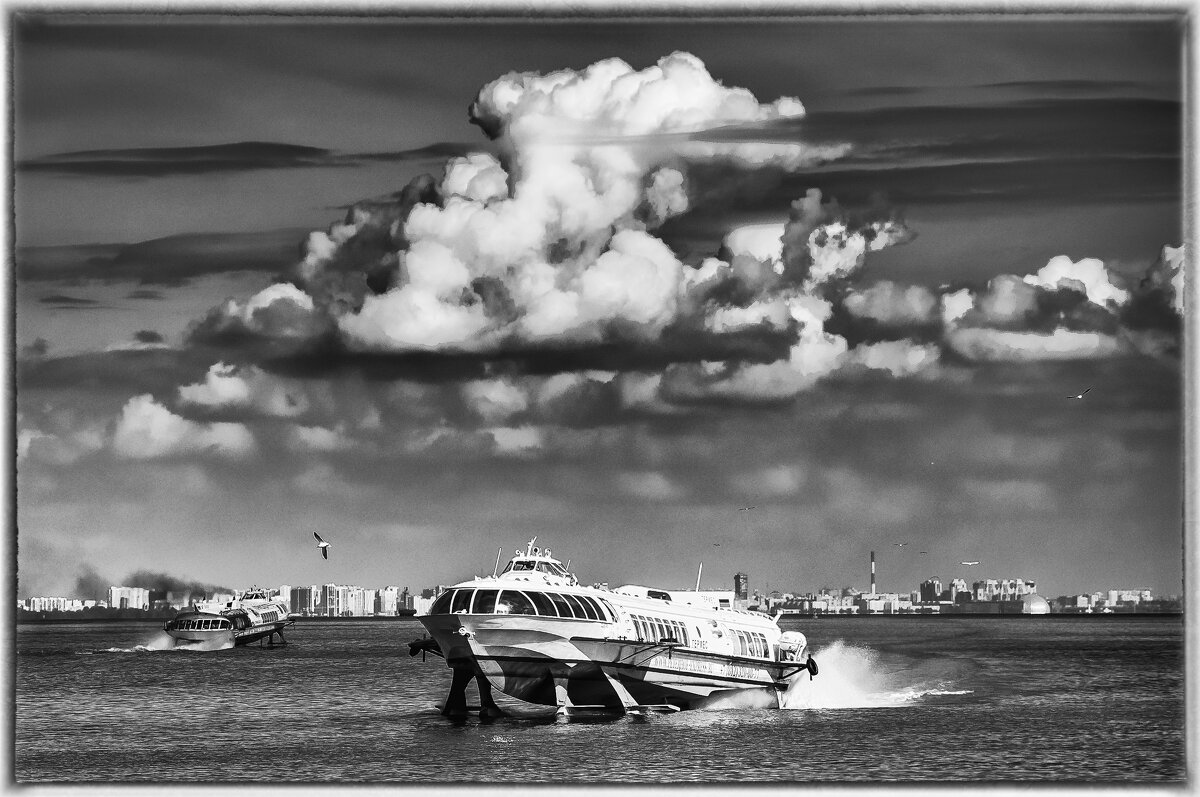 На крыле - Олег Загорулько