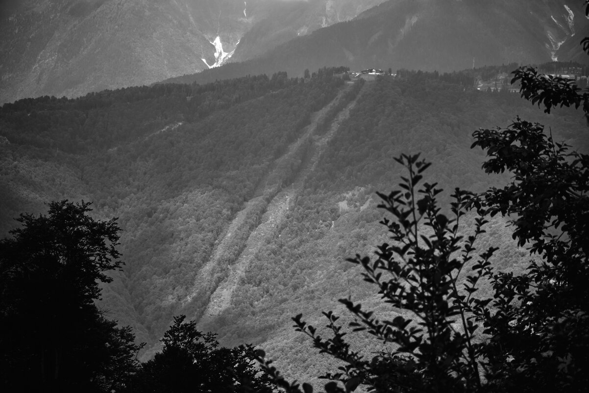 Тишина, которая говорит - Иван Державин Тишина, которая говорит - Иван Державин