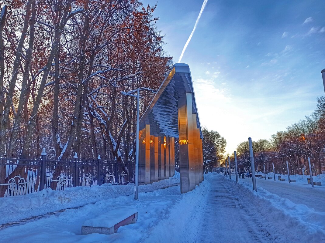 Из прогулки в зимний солнечный день - svk * Из прогулки в зимний солнечный день - svk *