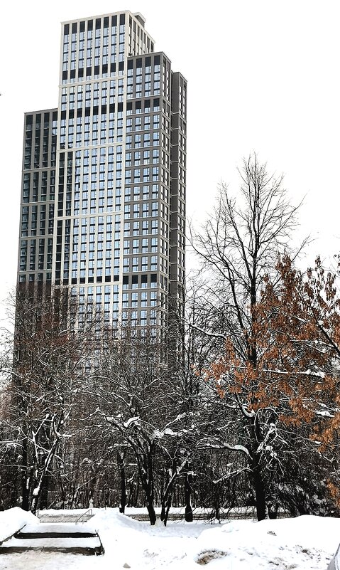 *** - Любимова Ольга 