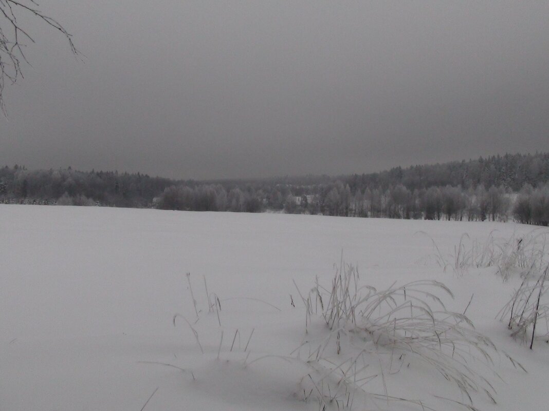 Снежное поле - fogmeadowww m