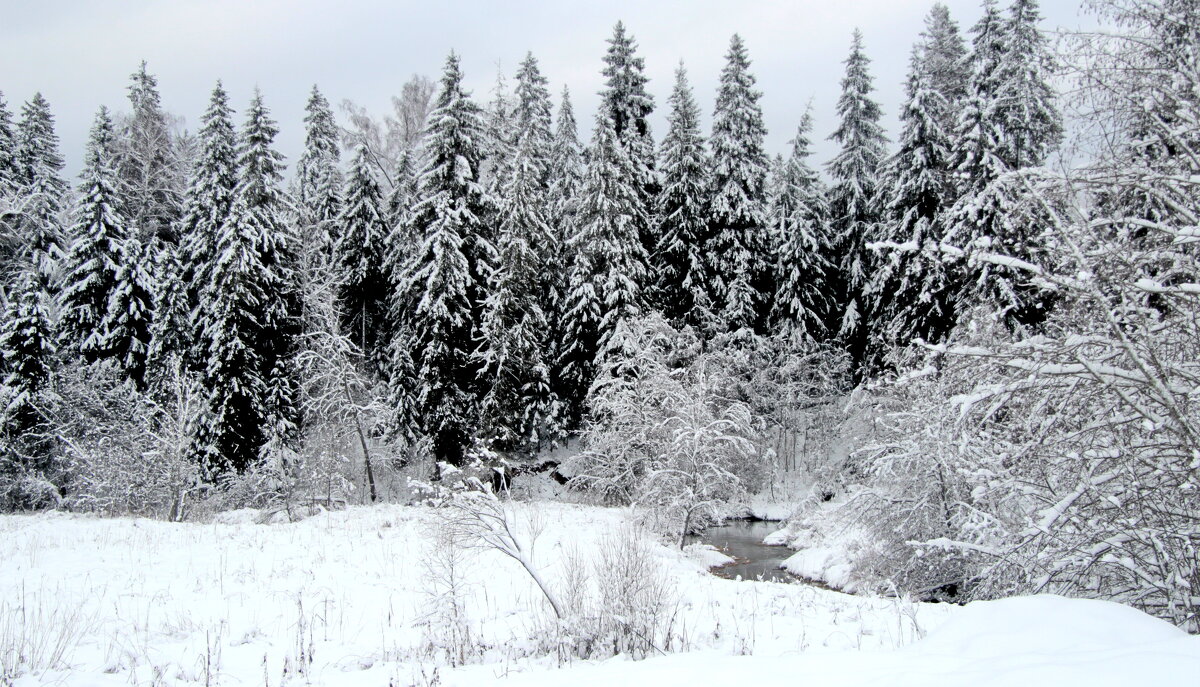 зима. - Маргарита ( Марта ) Дрожжина