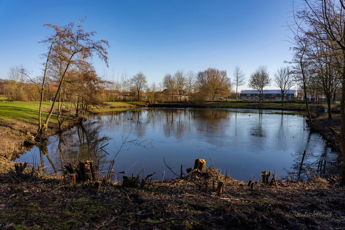 *** - Николай Гирш