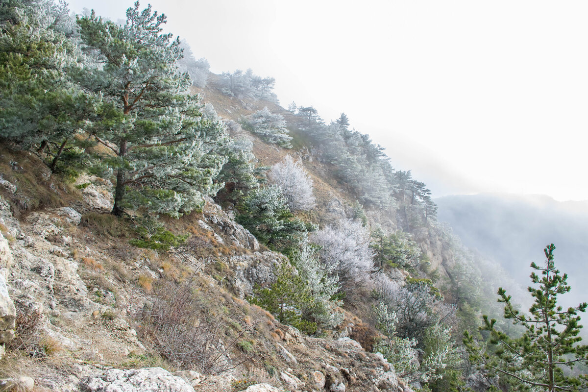 Крымская зима - Алёна Годунова Крымская зима - Алёна Годунова