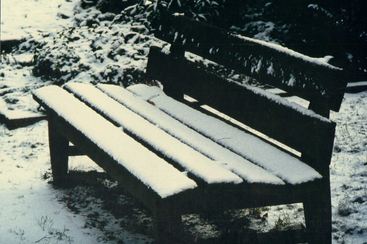 Южная зима - 1 - Алексей Кузнецов