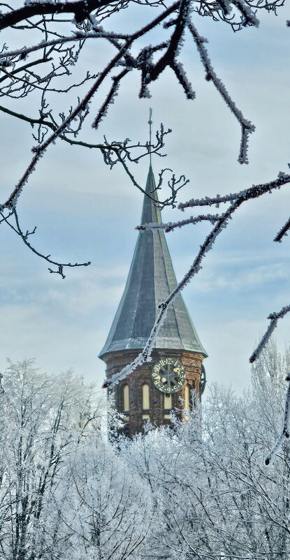 Калининград. Кафедральный собор. - Михаил Свиденцов Калининград. Кафедральный собор. - Михаил Свиденцов